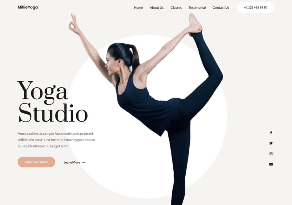 Yoga Studio 2 digital download store theme product featured image 7