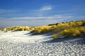 Hohwachter Bucht: Urlaub am Naturstrand zwischen Ruhe, Ostsee und kleinen Orten 4 Hohwachter Bucht