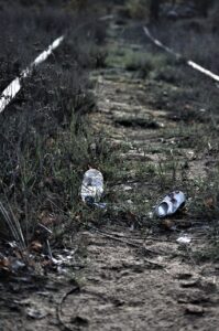 Nachhaltiger Ostsee Urlaub - 9 Tipps 5 nachhaltiger Urlaub Ostsee