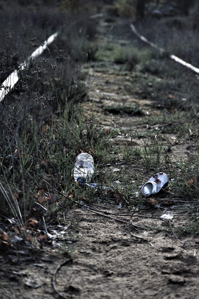 Nachhaltiger Ostsee Urlaub - 9 Tipps 1 nachhaltiger Urlaub Ostsee