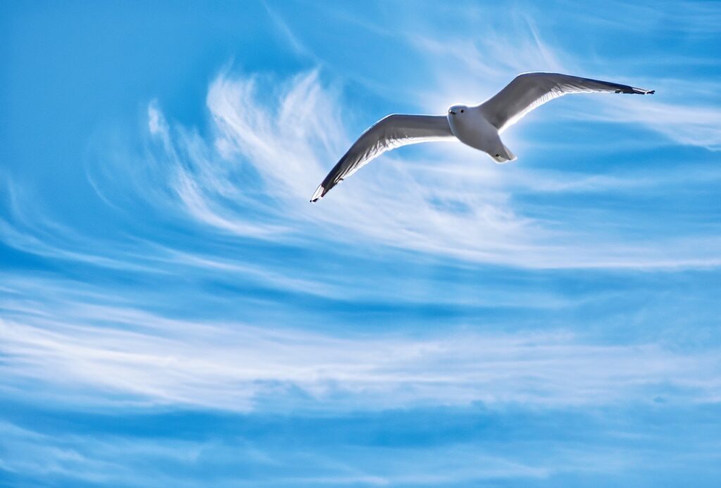 Der Fjord Schlei 2 Fjord Schlei