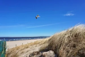Günstiger Ostseeurlaub Polen